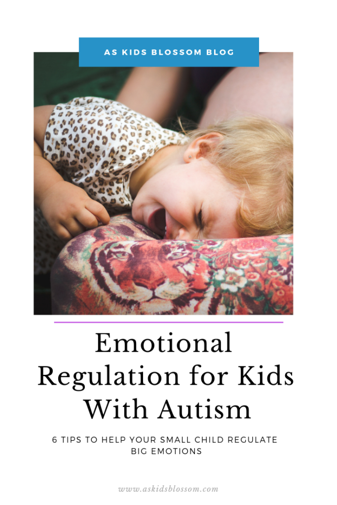 Emotional Regulation for Kids With Autism
